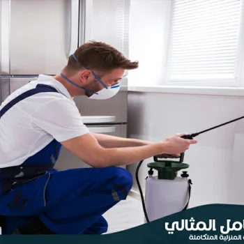 شركة مكافحة حشرات بالاحساء
