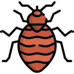 مكافحة البق