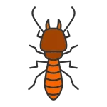 مكافحة النمل الابيض