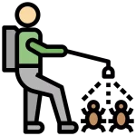 رش مبيدات حشرية