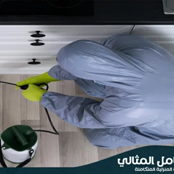 شركة مكافحة حشرات ببقيق
