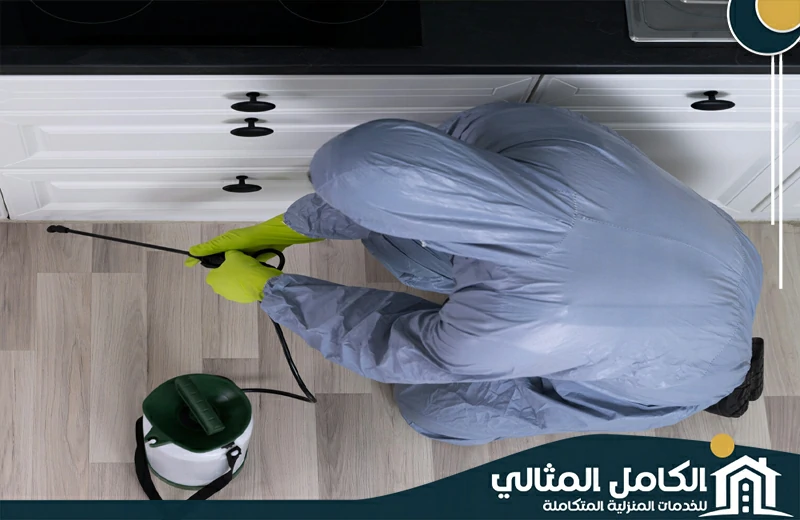 شركة مكافحة حشرات ببقيق