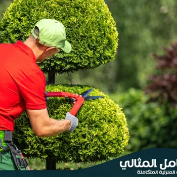 شركة تنسيق حدائق بالاحساء