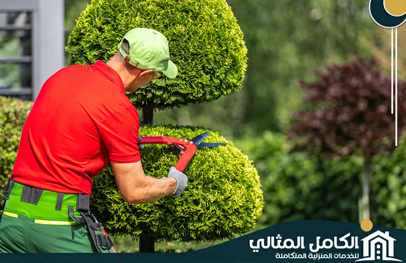 شركة تنسيق حدائق بالاحساء