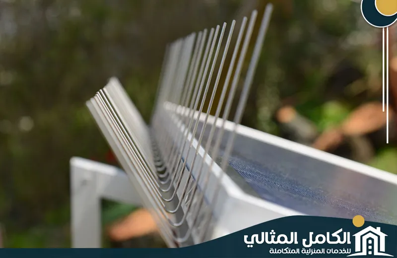 شركة تركيب طارد الحمام بالخبر