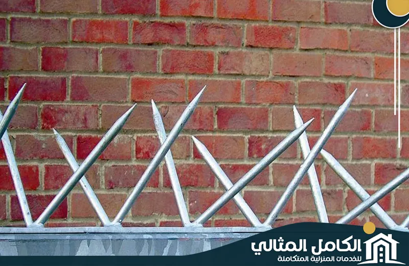 شركة تركيب طارد الحمام بالدمام