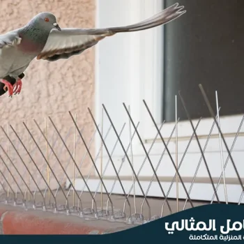 شركة تركيب طارد الحمام بصفوى