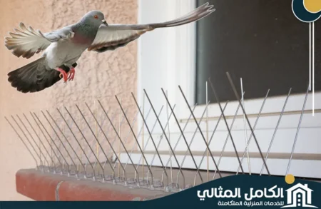 شركة تركيب طارد الحمام بصفوى
