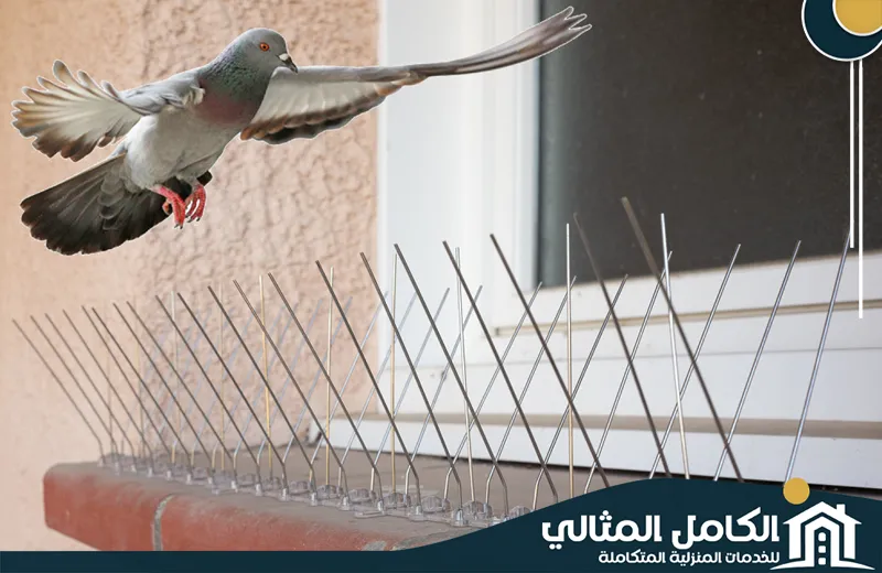 شركة تركيب طارد الحمام بصفوى