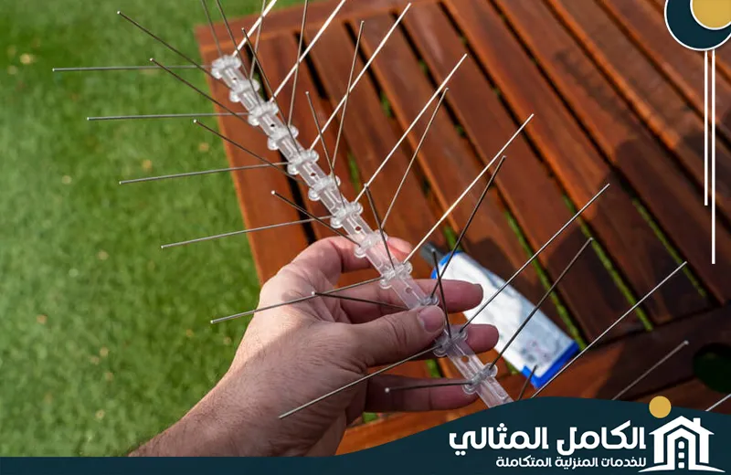 Anti pigeons (3) Anti pigeons (3)