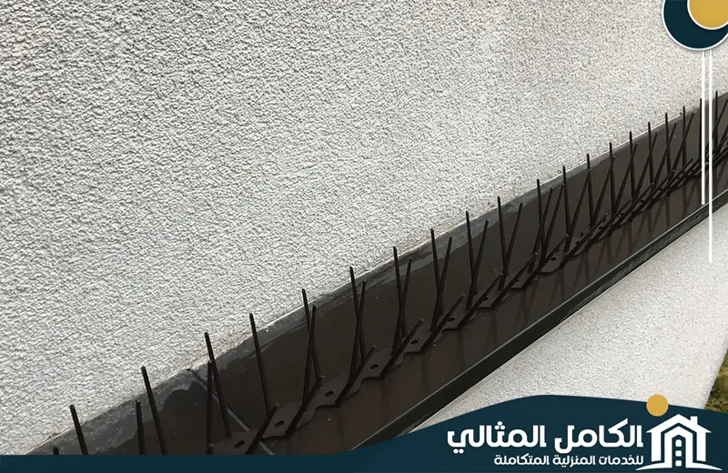 ارخص شركة تركيب طارد حمام بالظهران ارخص شركة تركيب طارد حمام بالظهران