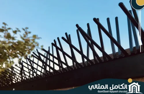 Anti pigeons (4) Anti pigeons (4)