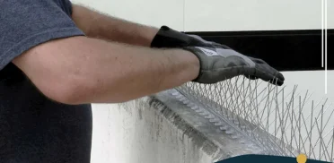 شركة تركيب طارد الحمام بالظهران