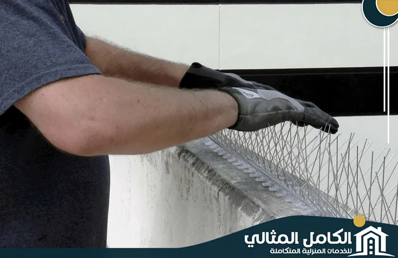 شركة تركيب طارد الحمام بالظهران