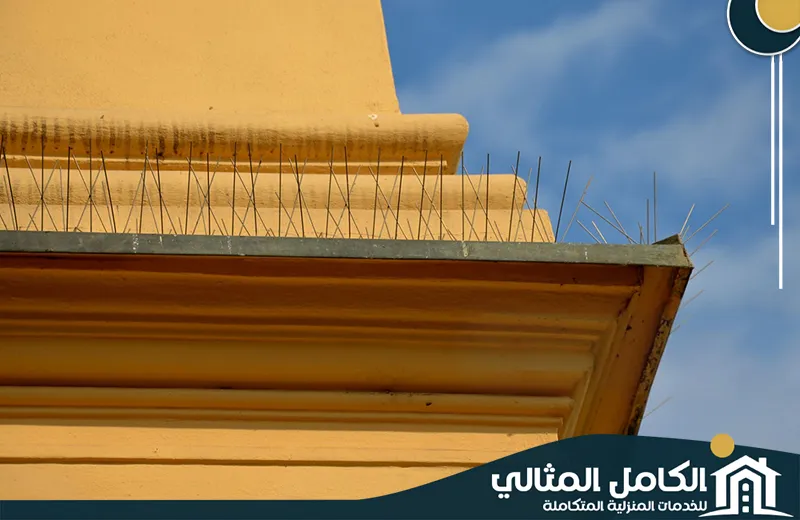 أسعار شركة تركيب طارد الحمام بالجبيل أسعار شركة تركيب طارد الحمام بالجبيل