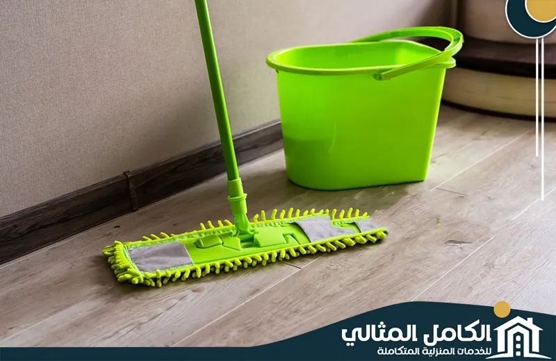 House cleaning (1) House cleaning (1)