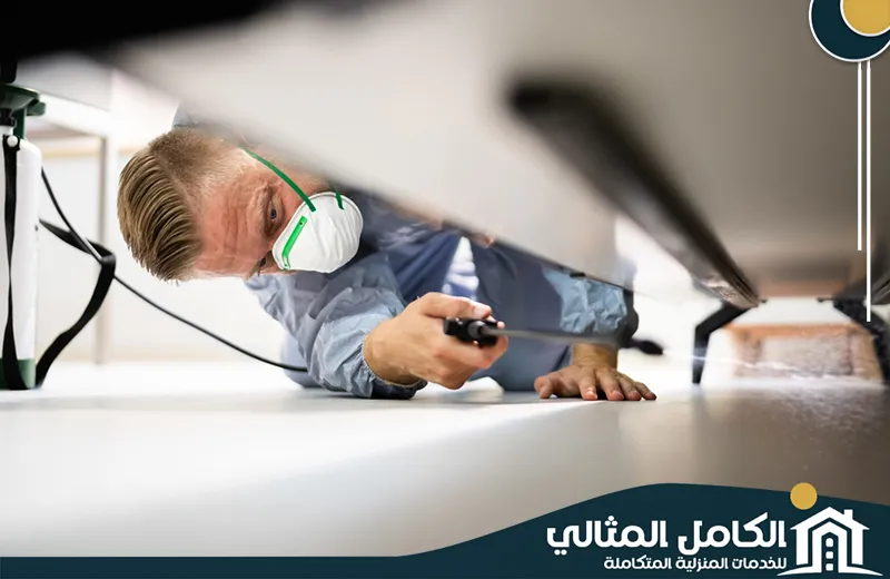 شركة مكافحة حشرات بالدمام