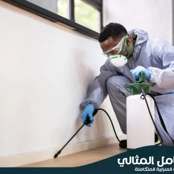 شركة مكافحة حشرات بالخبر