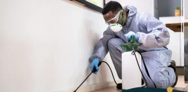 شركة مكافحة حشرات بالخبر