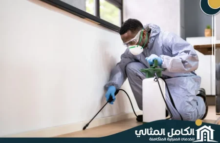 شركة مكافحة حشرات بالخبر