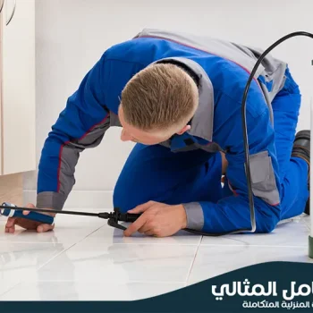 شركة مكافحة حشرات بالقطيف