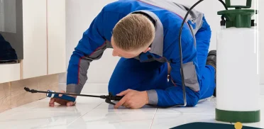 شركة مكافحة حشرات بالقطيف