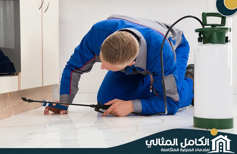 شركة مكافحة حشرات بالقطيف