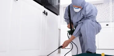 شركة مكافحة حشرات بصفوى