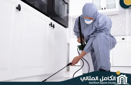 شركة مكافحة حشرات صفوى