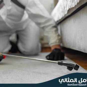 فنيو شركة الكامل المثالي 0555904670يقومون برش المناطق الحساسة حول الأثاث والزوايا، مستخدمين في شركة مكافحة حشرات بالجبيل ملابس واقية ومبيدات آمنة وفعالة. نقدم أفضل خدمة مكافحة حشرات بالجبيل لضمان بيئة صحية خالية من الآفات.