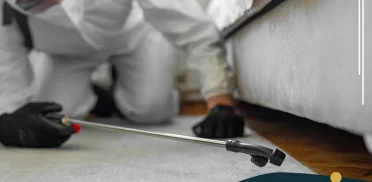 شركة مكافحة حشرات بالجبيل