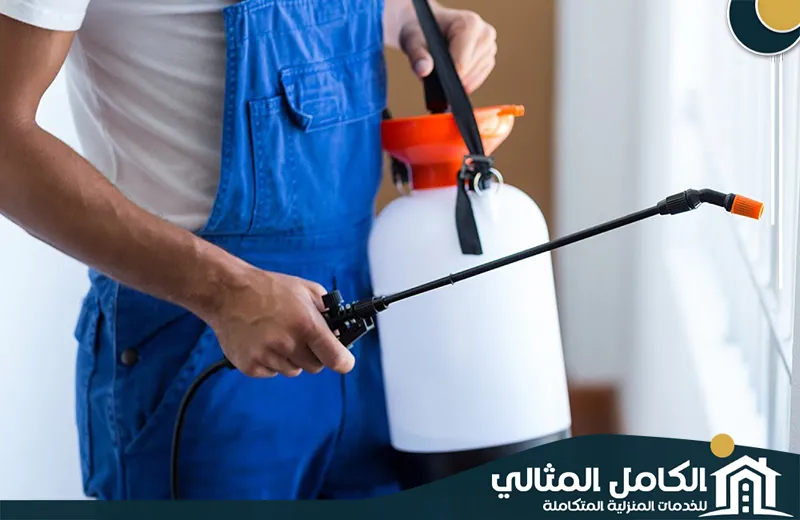 شركة مكافحة الصراصير بالظهران شركة مكافحة الصراصير بالظهران