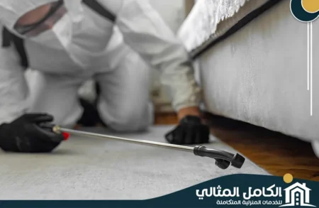 فنيو شركة الكامل المثالي 0555904670يقومون برش المناطق الحساسة حول الأثاث والزوايا، مستخدمين في شركة مكافحة حشرات بالجبيل ملابس واقية ومبيدات آمنة وفعالة. نقدم أفضل خدمة مكافحة حشرات بالجبيل لضمان بيئة صحية خالية من الآفات.