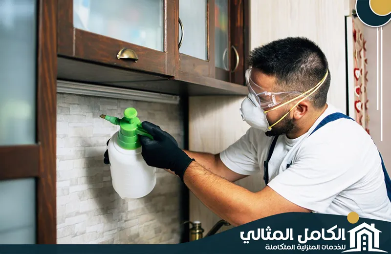 أفضل شركة مكافحة حشرات بالدمام أفضل شركة مكافحة حشرات بالدمام