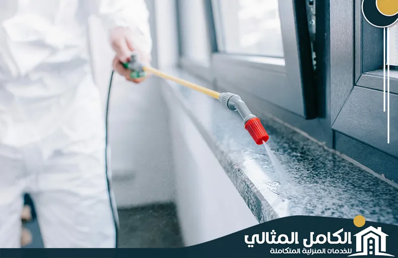 افضل شركة مكافحة حشرات بصفوى
