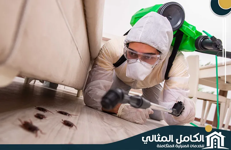مكافحة حشرات المنزل بالظهران مكافحة حشرات المنزل بالظهران