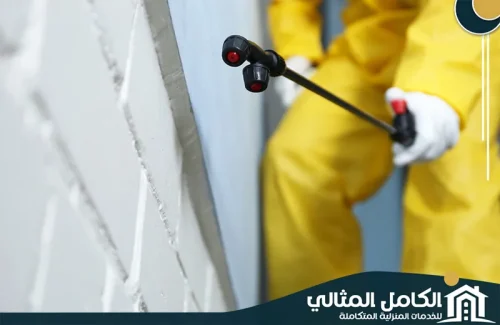 شركة مكافحة الحشرات بالجبيل شركة مكافحة الحشرات بالجبيل