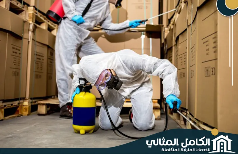 شركة رش مبيدات بالدمام شركة رش مبيدات بالدمام