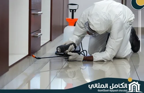 مكافحة الصراصير بالقطيف مكافحة الصراصير بالقطيف