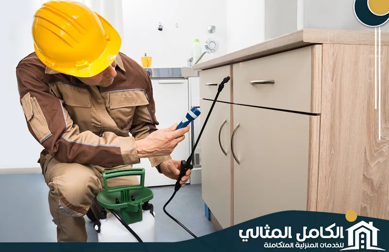 ارخص شركة مكافحة حشرات بالظهران ارخص شركة مكافحة حشرات بالظهران