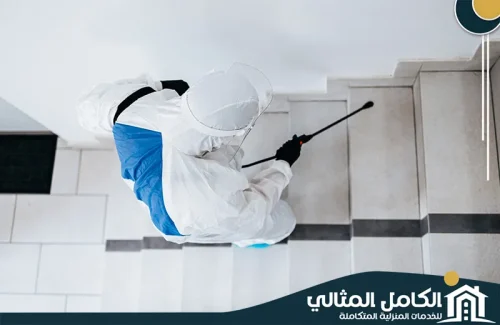 شركة مكافحة صراصير بالجبيل شركة مكافحة صراصير بالجبيل
