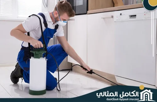 مكافحة بق الفراش بالخبر  مكافحة بق الفراش بالخبر