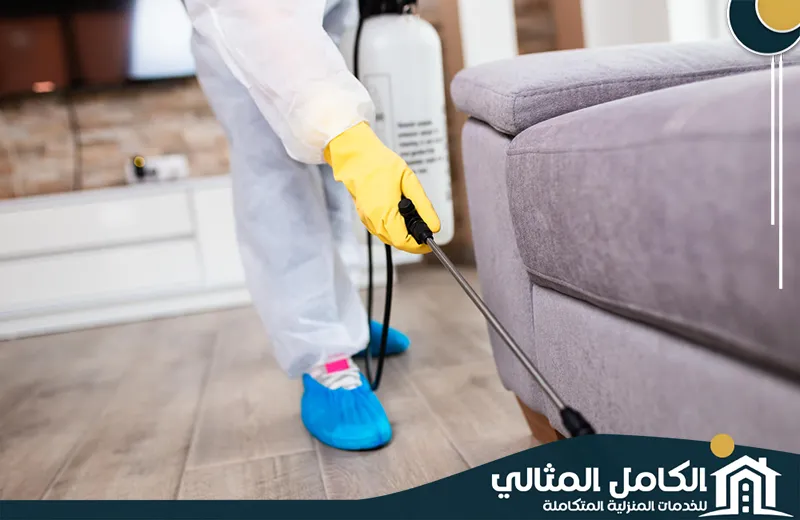 اسعار شركة مكافحة حشرات بصفوى