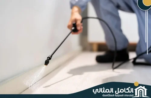 فريق شركة الكامل المثالي يركز على رش خطوط الأساس والجدران لمنع دخول الحشرات من الخارج. نستخدم مبيدات قوية وطويلة المفعول ضمن خطة مكافحة حشرات بالجبيل شاملة. لحماية منزلك بفعالية اتصل الآن 0555904670. فريق شركة الكامل المثالي يركز على رش خطوط الأساس والجدران لمنع دخول الحشرات من الخارج. نستخدم مبيدات قوية وطويلة المفعول ضمن خطة مكافحة حشرات بالجبيل شاملة. لحماية منزلك بفعالية اتصل الآن 0555904670.