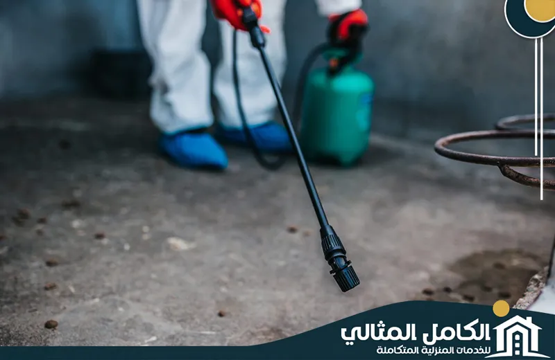 أرخص شركة مكافحة حشرات بالدمام أرخص شركة مكافحة حشرات بالدمام