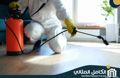 فني من شركة الكامل المثالي 0555904670 يطبق المبيدات السائلة على أرضية غرفة المعيشة، مستخدماً مضخة رش يدوية لضمان الدقة والانتشار. نلتزم بالملابس الواقية لضمان السلامة المهنية عند تقديم خدمة مكافحة حشرات بالجبيل. فني من شركة الكامل المثالي 0555904670 يطبق المبيدات السائلة على أرضية غرفة المعيشة، مستخدماً مضخة رش يدوية لضمان الدقة والانتشار. نلتزم بالملابس الواقية لضمان السلامة المهنية عند تقديم خدمة مكافحة حشرات بالجبيل.