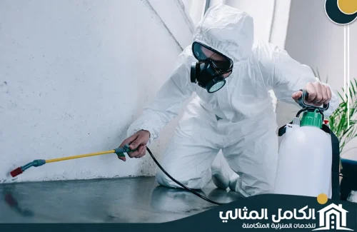 مكافحة بق الفراش بالخبر  مكافحة بق الفراش بالخبر