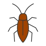 مكافحة الصراصير