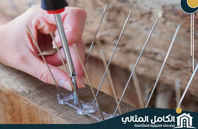 Qatif Bird repellent Qatif Bird repellent