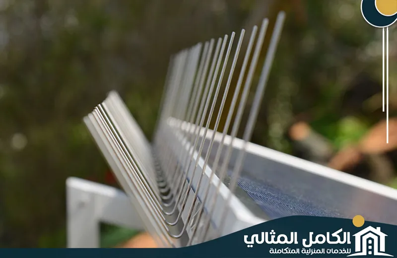 Qatif Installing a pigeon repellent Qatif Installing a pigeon repellent